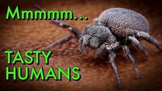 Could Spiders EAT Every HUMAN? The Answer is SHOCKING!