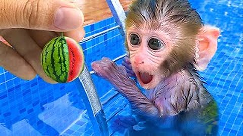 Baby Monkey Bon Bon goes to the supermarket to buy toys