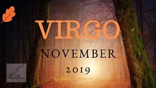 VIRGO: You Take Instruction and Move in the Flow * November