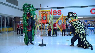 Lion Dance Drumming Chinese New Year Celebration Phoenix Spearwood Australia