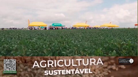 No Dia de Campo da Fazenda Progresso FT Sementea apresenta suas cultivares para o NE brasileiro