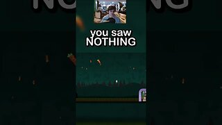 You saw nothing #gaming #gamingshorts #indiegaming