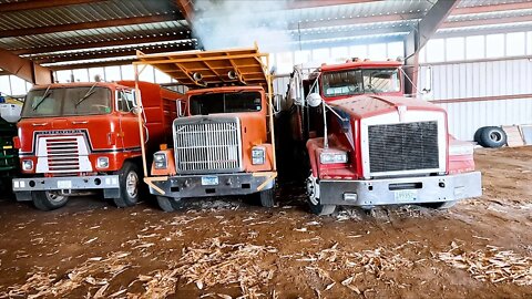 The Trucks That Built Our Farm!!