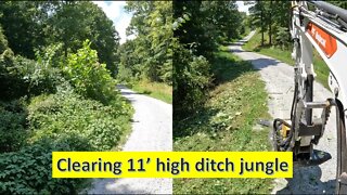 Clearing 11' jungle with mini excavator brush cutter