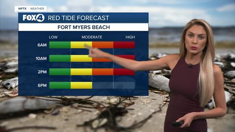 Tracking red tide along Southwest Florida's coast