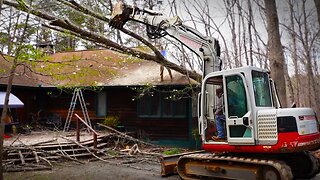 We dropped a tree on the house