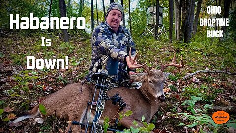 Drop Tine Ohio Buck on the Ground! | Archery Hunting 2023