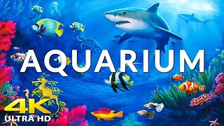 Aquarium 4K VIDEO (ULTRA HD) 🐠 Beautiful Coral Reef Fish - Relaxing Sleep Meditation Music