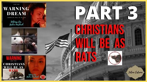 (WARNING DREAM) Understanding How Christians Will Be As Rats Part 3