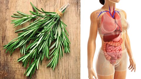 What is Rosemary Good For? Rosemary Health Benefits