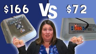 Incubator Comparison And Review | Amazon 16 Egg Incubator VS Hova Bator Incubator