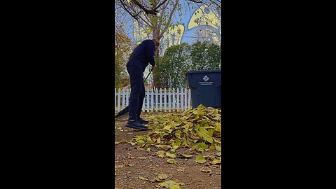 Finishing picking up the leaves 🍃