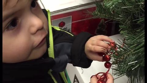 Boy Gets Super Excited For The Holiday Season