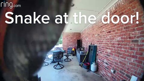Ring Doorbell Camera Captures a Snake Slithering on The Front Door | Doorbell Camera Video