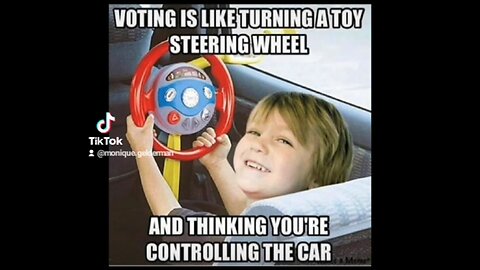 Voting is like turning a toy steering wheel and thinking you're controlling the car...