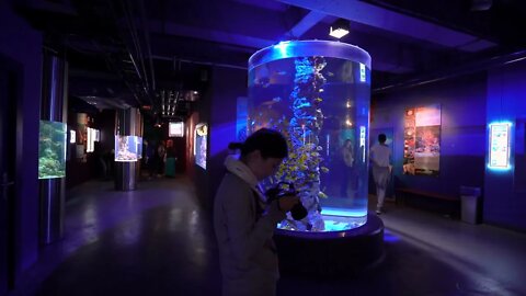 Girl taking pictures of coral fish in oceanarium