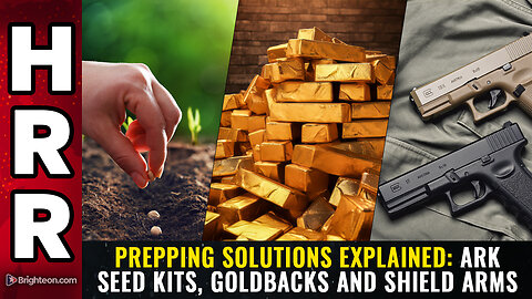 PREPPING SOLUTIONS EXPLAINED: Ark Seed Kits, Goldbacks and Shield Arms