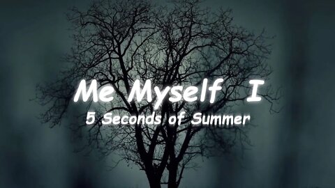5 Seconds of Summer - Me Myself I (Lyrics)