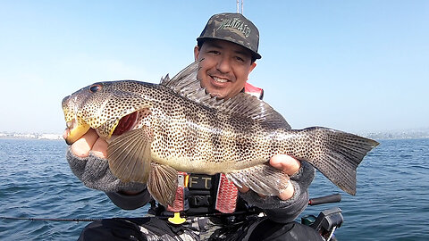 One big bite can make a session | Mission Bay, CA