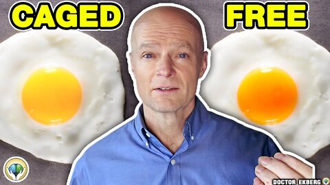 Organic Eggs vs Regular Eggs - Which Is Better For You? - Dr Ekberg