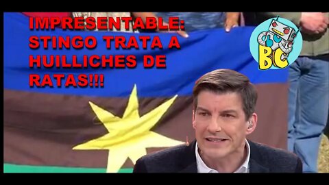 Convencional Stingo trató de RATAS a Representantes Huilliches que expusieron en la Convención