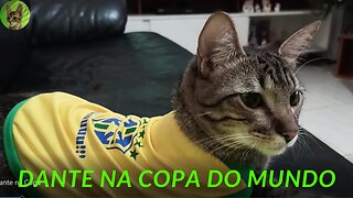 A Copa do mundo