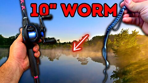 This Lure Catches More Bass than ALL OTHERS!!! (10" Worm)