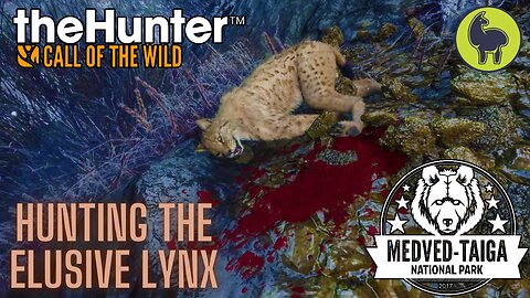 Hunting the Elusive lynx, Medved Taiga | theHunter: Call of the Wild (PS5 4K)