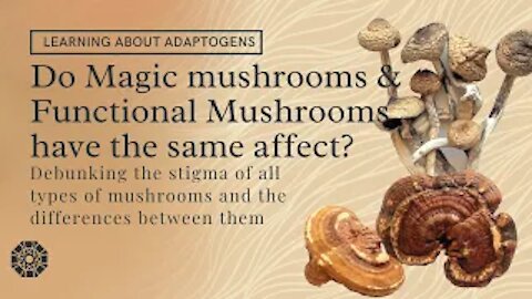 MAGIC MUSHROOMS | FUNCTIONAL MUSHROOMS | Are Magic Mushrooms and Functional Mushrooms the same