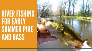 River Fishing For Early Summer Smallmouth Bass And Northern Pike