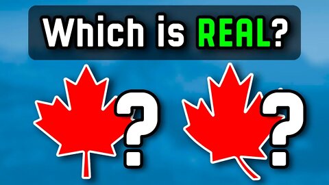Guess Which Flag Emblem is Real | Flag Quiz Challenge
