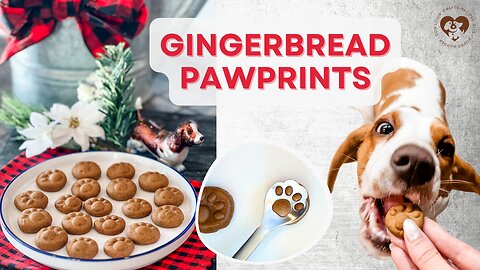 Homemade Gingerbread Pawprint Dog Treats