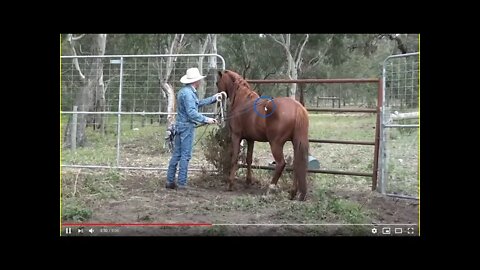 Part 2 of 2 - Working With Unhandled Stallion - The Good, The Bad & The Ugly