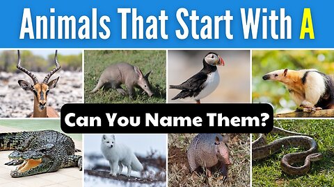 Can You Name These Animals That Start With A? | Test Your Animal Knowledge!