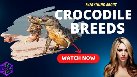 10 Amazing Facts About Crocodile Breeds You Never Knew