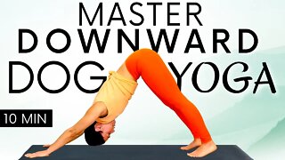 Yoga Beginners Challenge! Master Your Pose! Downward Dog with Eliz