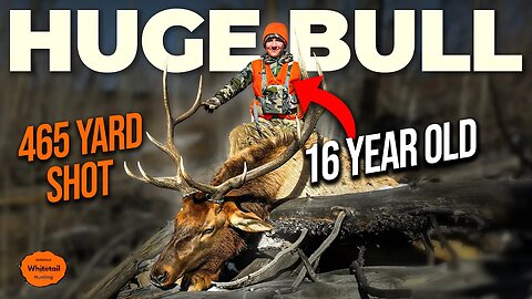 16 Yr Old Shoots Giant 6x6 Bull Elk! | Colorado public land 2023 (Ep.1)