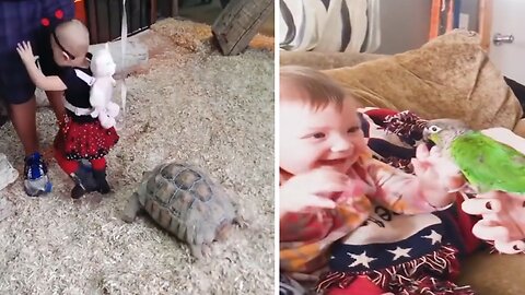 Kid getting chased by a turtle!