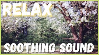 SONGS OF TRANQUILITY! Immediately relax, sleep, meditate, study, relax!