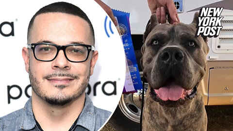 Shaun King defends spending $40K on guard dog, complains he can't get a gun to protect himself