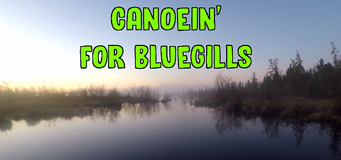 Canoein' For Bluegills