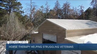Horse therapy helps veterans struggling with mental health issues
