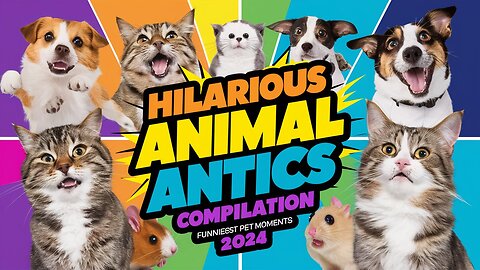 "Hilarious Animal Antics Compilation 2024 | Funniest Pet Moments Guaranteed to Make You Laugh!"
