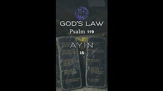 GOD'S LAW - Psalm 119 - 16 - The psalmist loves God's law #shorts