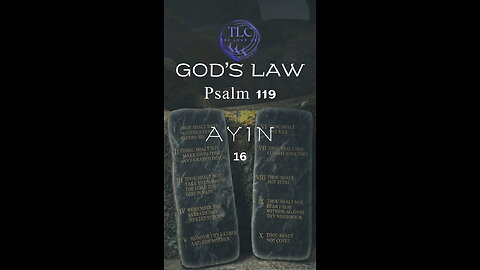 GOD'S LAW - Psalm 119 - 16 - The psalmist loves God's law #shorts