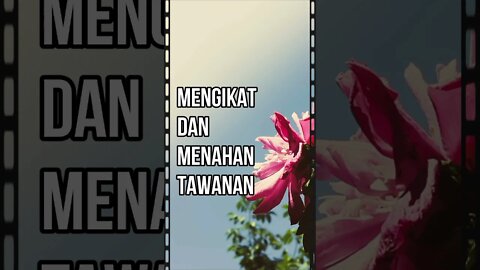 Mengikat dan menahan tawanan perang serta boleh juga melepasnya