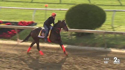 Coffeewithchris percolating for Preakness