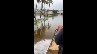 Airboat driving over flooded roads in Everglades City, FL | Video Credit: Emily Brown