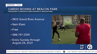 Cardio Boxing at Beacon Park