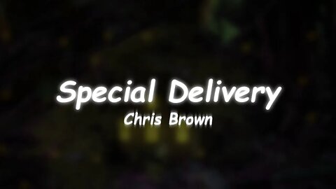 Chris Brown - Special Delivery (Lyrics)